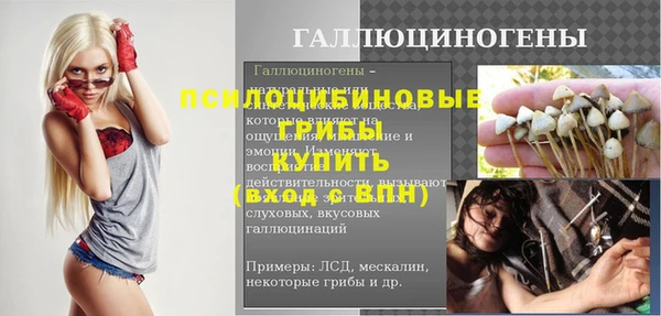 мяу мяу мука Михайловск