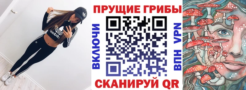 Купить  Почеп  Псилоцибиновые грибы ЛСД 